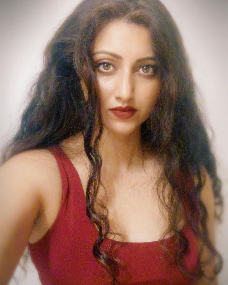 Hamsanandini 