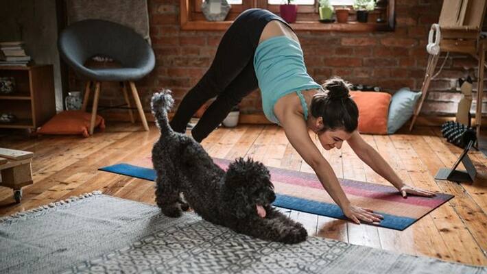 Do not forget to exercise during the coronavirus pandemic, these 5 tips to stay active and fit MJA Do not forget to exercise during the coronavirus pandemic, these 5 tips to stay active and fit MJA