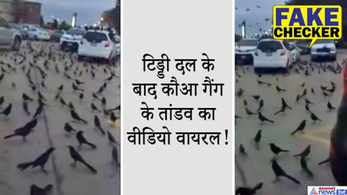 during loctus attack india crow black birds swarm video from texas viral as saudi arabia kpt during loctus attack india crow black birds swarm video from texas viral as saudi arabia kpt
