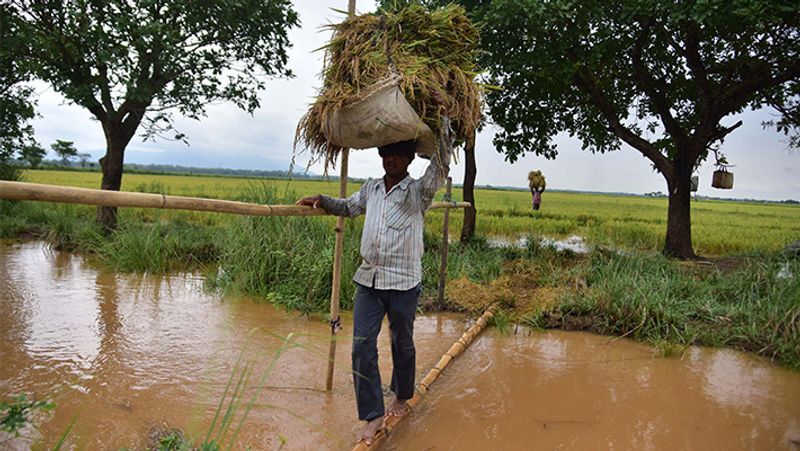 खेतों में पानी भरने से लोगों की फसलें बर्बाद हो गई थीं।