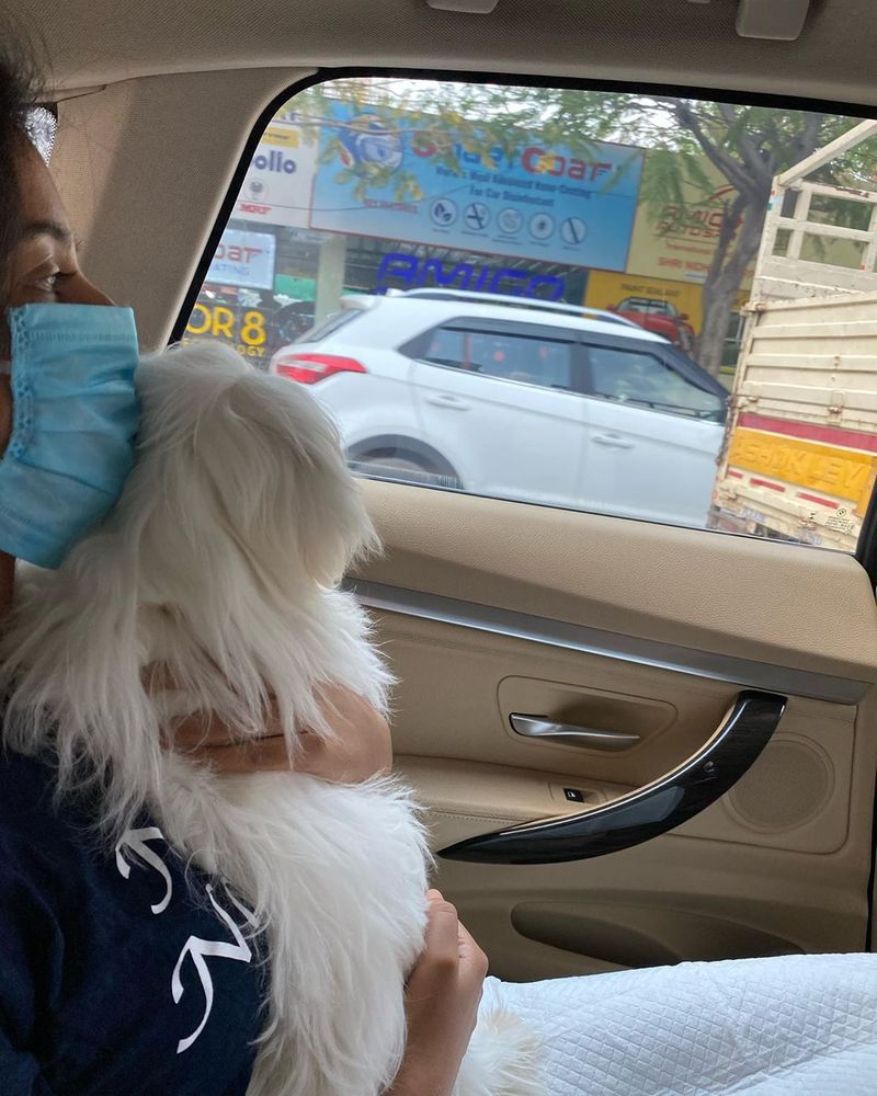 லாக் டவுன் என்பதால் தன்னுடைய நாய் குட்டியுடன் கார் பயணம் 