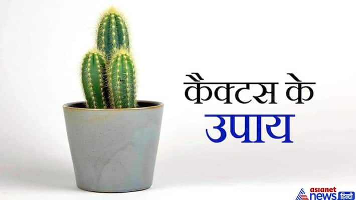 Put water in a copper vessel at night and put it in the cactus in the morning, it may solve your problems KPI Put water in a copper vessel at night and put it in the cactus in the morning, it may solve your problems KPI