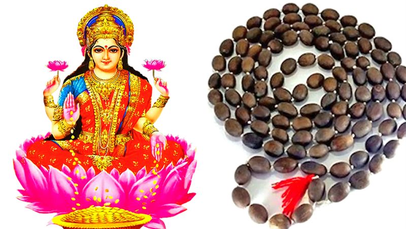 5. शुक्रवार और पूर्णिमा तिथि के योग में देवी लक्ष्मी को कमल गट्टे की माला चढ़ाएं। इससे भी धन लाभ के योग बन सकते हैं।
