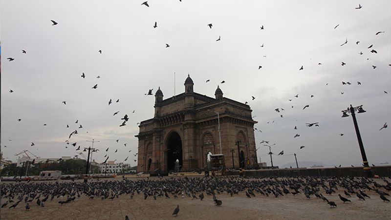 मुंबई के गेट वे ऑफ इंडिया का दृश्य। यहां तूफान की आहट जानकर परिंदे घबराकर उड़ने लगे।