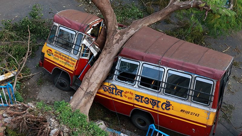 अम्फान तूफान से उखड़े पेड़ से बस के दो टुकड़े हो गए थे।