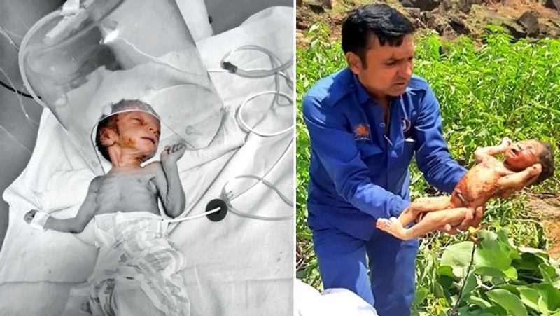 पहली तस्वीर में दिखाई दे रहा बच्चा जन्म देने के 10 दिन बाद फेंक दिया गया था। उसका वजन सिर्फ 1.3 किलोग्राम निकला था। यह बच्चा कुपोषित है। बच्चा भोपाल के होशंगाबाद रोड पर एक कार शोरूम के सामने बने बस स्टॉप पर मिला था। बच्चा भूखा पड़ा था। उसके शरीर पर खरोंच के निशान भी थे। दूसरी तस्वीर मप्र के छिंदवाड़ा जिले की है। यह बच्ची पिछले दिनों झाड़ियों में पड़ी मिली थी। आगे पढ़िये छिंदवाड़ा में मिले बच्चे कहानी..