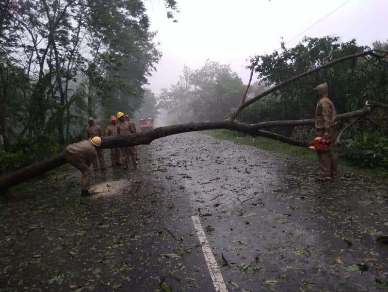 Cyclone Amphan: 7-member Central team visits cyclone-hit areas of Bengal