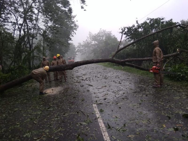 ঘূর্ণিঝড় নিসর্গের দাপটে রায়গড় জেলার উপকূলবর্তী অঞ্চল তছনছ। বিভিন্ন জায়গায় উপড়ে গিয়েছে গাছ। বেঁকে গিয়ে বিদ্যুতের খুঁটি।