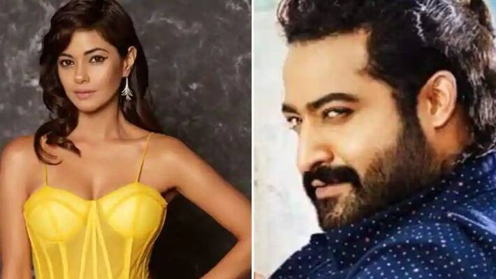 Actress Meera Chopra receives Rape Threats From Jr NTR Fans in Twitter Actress Meera Chopra receives Rape Threats From Jr NTR Fans in Twitter