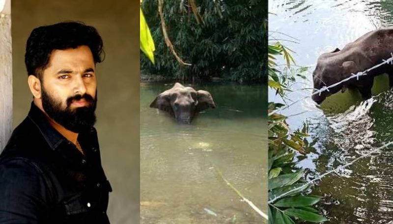 ಪಟಾಕಿ ತುಂಬಿದ ಅನಾನಸ್ ತಿಂದು ಗರ್ಭಿಣಿ ಆನೆಯೊಂದು ಸಾವನ್ನಪ್ಪಿದೆ. ಮಾಹಿತಿ ಪ್ರಕಾರ ಕೆಲವು ಸ್ಥಳೀಯರು ಆನೆಗೆ ಈ ಆಹಾರ ನೀಡಿದ್ದರು. ಮಲಪ್ಪುರಂ (Malappuram) ಜಿಲ್ಲೆಯ ಅರಣ್ಯ ಅಧಿಕಾರಿಯೊಬ್ಬರು ಈ ಭೀಕರ ಘಟನೆಯ ವಿವರಗಳನ್ನು ತಮ್ಮ ಫೇಸ್ಬುಕ್ ಪುಟದಲ್ಲಿ ಹಂಚಿಕೊಂಡ ನಂತರ ಇಡೀ ದೇಶಾದ್ಯಂತ ವ್ಯಾಪಕ ಪ್ರತಿಕ್ರಿಯೆ ಬರುತ್ತಿದೆ.
