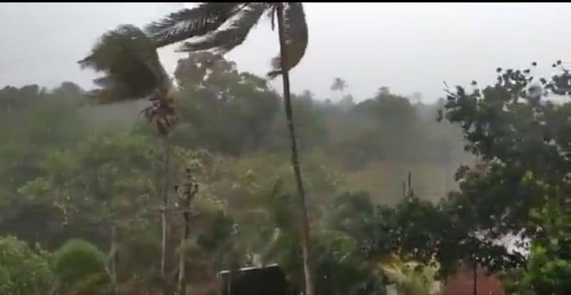 अलीबाग में तूफान के टकराने के बाद जोरदार हवा चलने लगी। मौसम विभाग के मुताबिक हवा की स्पीड 120 किमी प्रति घंटा है। हवा के झोंके से कई कच्चे मकान उखड़ गए हैं। 