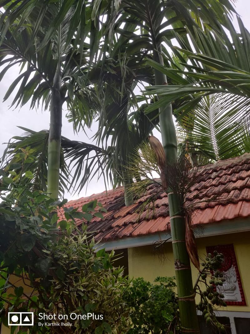 ಸಾಲಿಗ್ರಾಮದ ತೋಡುಕಟ್ಟುವಿನಲ್ಲಿ ಸ್ವರ್ಗದಂತೆ ಕಾಣುವ ಈ ಸ್ಥಳಕ್ಕೆ ಬೃಂದಾವನ ಎಂಬ ನಾಮಫಲಕವಿದೆ. ಇತ್ತೀಚೆಗಷ್ಟೇ ಸೇವಾ ನಿವೃತ್ತಿ ಪಡೆದ ಬಿಸಿಎಂ ಇಲಾಖೆಯ ಕುಂದಾಪುರ ತಾಲೂಕು ವಿಸ್ತರಣಾಧಿಕಾರಿ ಬಿ.ಎಸ್. ಮಾದರ ಅವರ ಪರಿಸರಪ್ರೇಮ ಹಾಗೂ ಪಕ್ಷಿಪ್ರೇಮದ ಪ್ರತೀಕವಿದು.