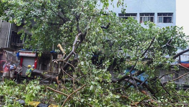 Cyclone Nisarga: Death toll rises to 3 in Pune as 35-year-old man dies in hospital