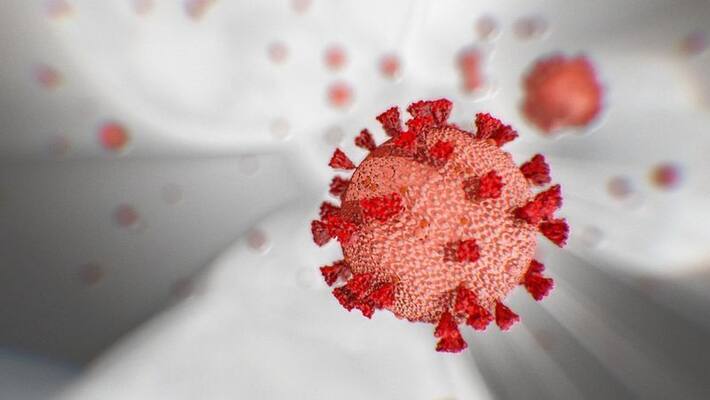 Defence Secretary Ajay Kumar tests positive for Coronavirus Defence Secretary Ajay Kumar tests positive for Coronavirus