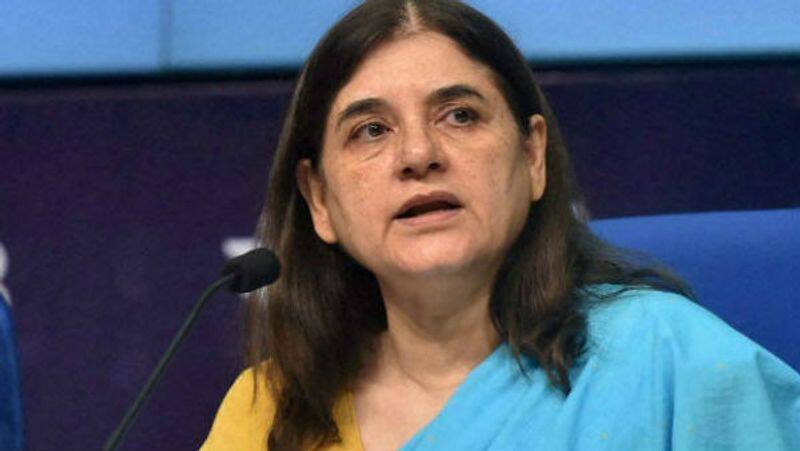 Elephant killing in Rahul Gandhi block! Why not keep your mind quiet? Maneka Gandhi's question ..