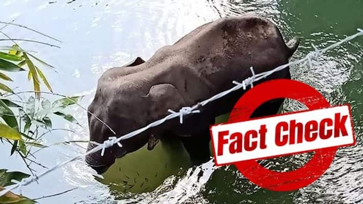Kerala pregnant elephant was not fed Pineapple stuffed with firecrackers says Ex IFS Officer Kerala pregnant elephant was not fed Pineapple stuffed with firecrackers says Ex IFS Officer