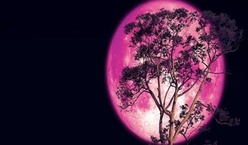 no liquid water on moon but oxygen creating rust on moon says chandrayan 1 data bsm