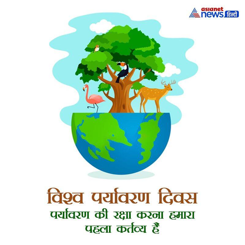 World Environment Day à¤œ à¤¨ à¤ 5 à¤œ à¤¨ à¤• à¤• à¤¯ à¤®à¤¨ à¤¯ à¤œ à¤¤ à¤¹ à¤µ à¤¶ à¤µ à¤ªà¤° à¤¯ à¤µà¤°à¤£ à¤¦ à¤µà¤¸ à¤œ à¤¨ à¤• à¤¯ à¤¹ à¤®à¤¹à¤¤ à¤µ World Environment Day Know Fact And Importance Of Day Kpp