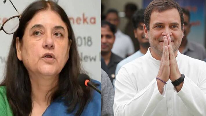 Menka Gandhi say Malappuram most violent district, why has Rahul Gandhi not taken any action KPS Menka Gandhi say Malappuram most violent district, why has Rahul Gandhi not taken any action KPS
