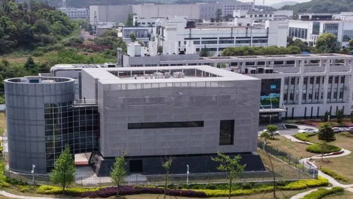 corona like virus from bat infected mine sent to wuhan lab in 2013 says a report bsm corona like virus from bat infected mine sent to wuhan lab in 2013 says a report bsm