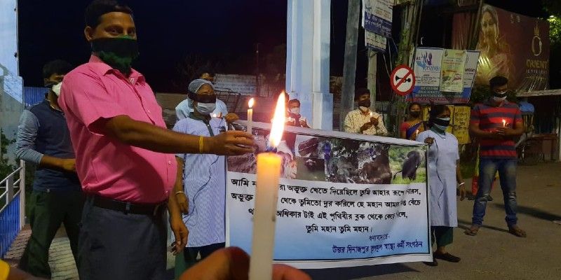 হাতিকে বিস্ফোরক খাইয়ে মেরে ফেলার প্রতিবাদে বৃহস্পতিবার রায়গঞ্জ মেডিক্যাল কলেজ ও হাসপাতালে চত্বরে মোমবাতি মিছিল করলেন চিকিৎসক ও নার্সরা। দোষী শাস্তির দাবিতে চলে বিক্ষোভও।
