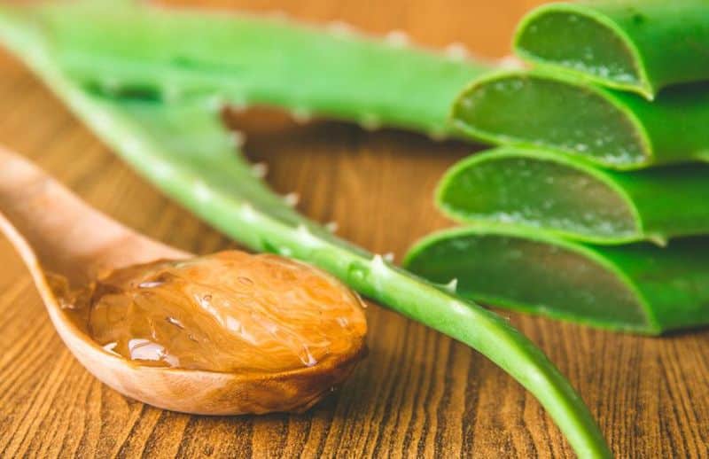 Chenninayakam is derived from Aloe vera, did any one know?