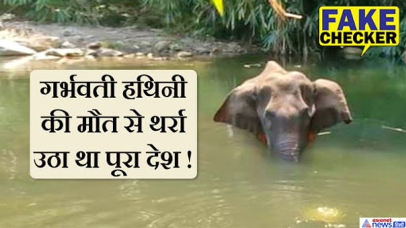 हथिनी की पोस्टमॉर्टम रिपोर्ट आ गई, जिसमें हथिनी की मौत का कारण फेफड़े में पानी भरना बताया गया है। इस मामले को गंभीरता से लेते हुए केंद्र ने केरल सरकार से रिपोर्ट मांगी है। दरअसल केरल का वन विभाग हथिनी की दर्दनाक मौत पर लीपा-पोती कर रहा है। वो एक भयानक अमानवीय हत्या को मामूली बता रहा है। 