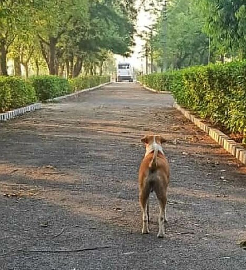 navodaya teacher shares her travelling experience from up to kerala with her students