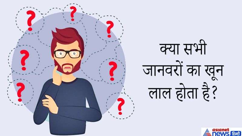 जवाब: जी नहीं, उत्तरी अमेरिका में पाये जाने वाले केकड़े का खून नीला होता है, और न्यू गिनिया नाम के गिरगिट का खून हरा होता है। 