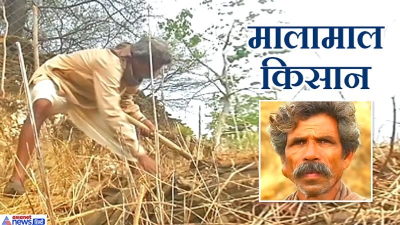 शंकरलाल ने खुद गेंती-फावड़ा चलाकर बंजर जमीन को समतल किया। उनके साथ पत्नी ने भी मदद की।