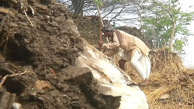 कुछ साल पहले खेत से पत्थर तोड़ते शंकरलाल।
