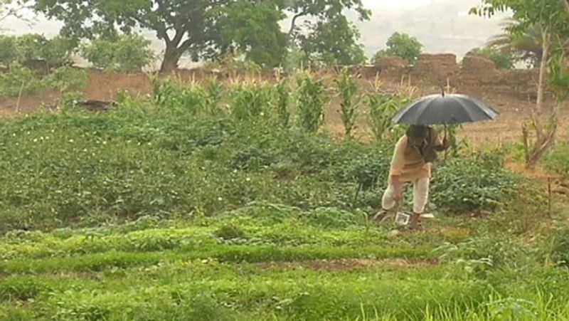 खेत से निकले पत्थरों का शंकरलाल ने सदुपयोग किया। इनसे उन्होंने खेतों के चारों ओर बाड़ बना ली। इससे खेत जानवरों से सुरक्षित हो गए।