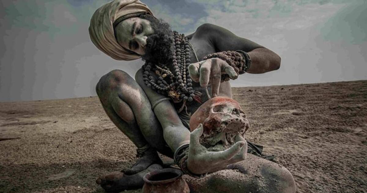 மயானமே மாளிகை! சாம்பல் பூசி நிர்வாணமாக திரியும் அகோரிகளின்.. திகிலூட்டும் வாழ்க்கையை பற்றி தெரியுமா? 