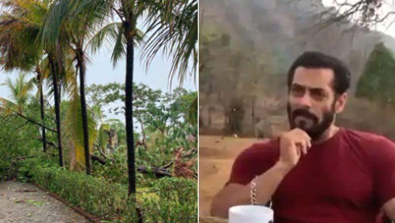 यूलिया ने सलमान के फार्महाउस की जो फोटो इंस्टाग्राम पर शेयर की है। इसमें साफ तौर से तबाही का मंजर देखा जा सकता है। यूलिया वंतूर ने जो तस्वीरें और वीडियोज शेयर किए हैं उनमें तेज हवाएं... ताबड़तोड़ बारिश... टूटे हुए पेड़ और तबाही के कई सबूत देखने को मिल रहे हैं। 