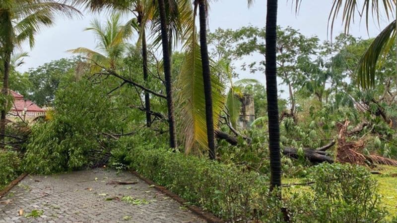 बता दें, यूलिया, लॉकडाउन के दौरान सलमान खान के फार्महाउस पर रुकी हैं। यहां पर एक्ट्रेस जैकलिन फर्नांडीस और सलमान खान की बहन अर्पिता खान अपनी पूरी फैमिली के साथ रह रही हैं। 