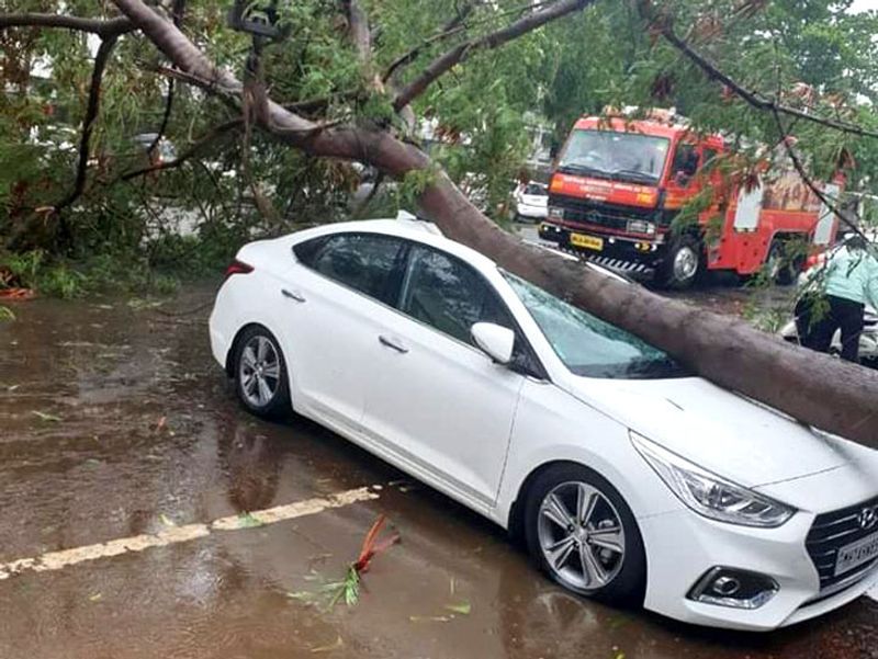 तेज तूफान की वजह से पेड़ उखड़ गए। जिसकी चपेट में एक कार भी आ गई। 