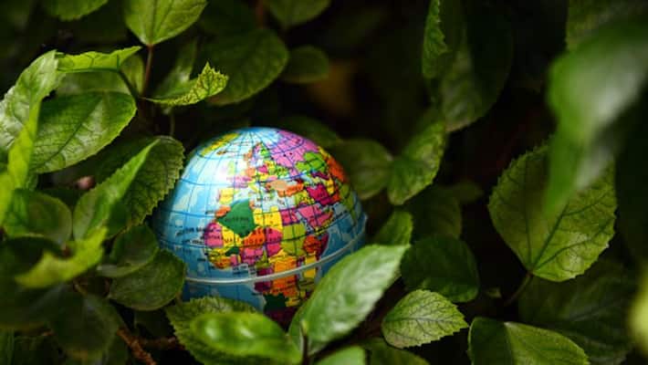 World Environment Day 2022 What did Medico doctor Arnab Bera say on Only One Earth BDD World Environment Day 2022 What did Medico doctor Arnab Bera say on Only One Earth BDD