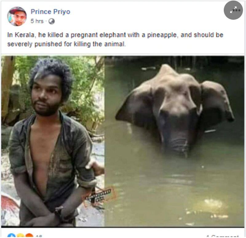 Kerala elephant death fake photo circulating