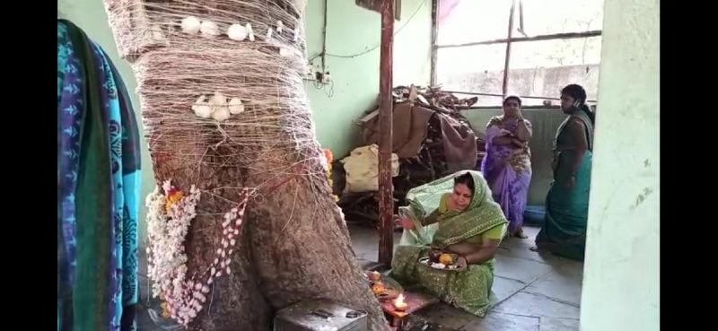 ದೇಗುಲದ ಆವರಣದಲ್ಲಿರೋ ಅರಳಿ ಮರಕ್ಕೆ ಉಡಿತುಂಬಿ ವಿಶೇಷ ಪೂಜೆ.