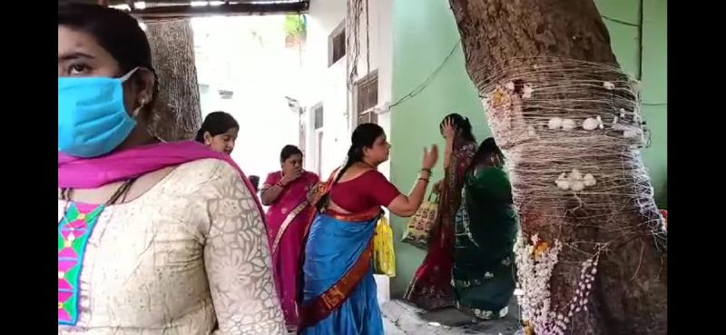 ಎಲ್ಲ ಪವಿತ್ರ ವೃಕ್ಷಗಳ ತುಲನೆಯಲ್ಲಿ ವಟವೃಕ್ಷದ ಆಯುಷ್ಯವು ಹೆಚ್ಚಿನದ್ದಾಗಿದ್ದು ಅದರ ವಿಸ್ತಾರವೂ ಹೆಚ್ಚಿರುತ್ತದೆ.