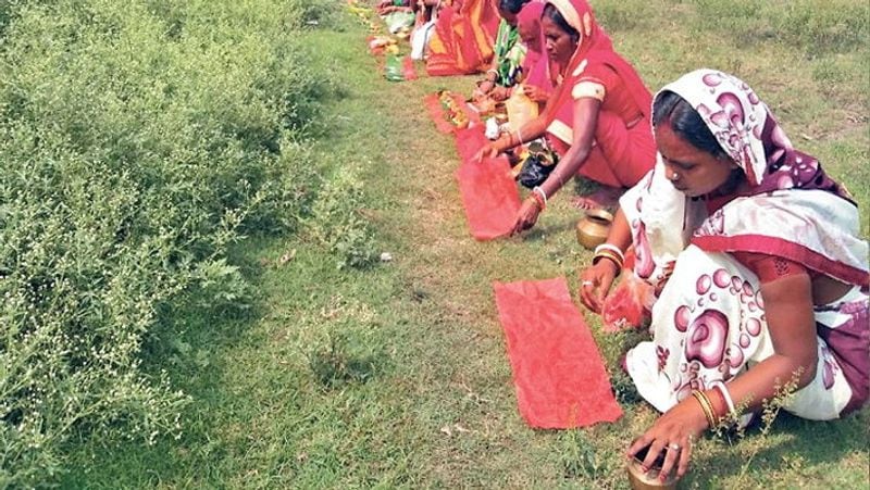 बता दें कि बिहार में किसी ने इसका एक वीडियो वायरल किया था। इसके बाद महिलाएं पूजा-अर्चना में लग गईं।