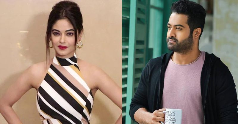 ntr fans trolls namratha sirodhkar as she faces drug allegations ksr
