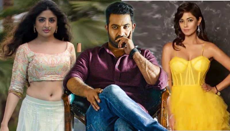 Poonam Kaur responds Meera Chopra and Jr Ntr fans controversy