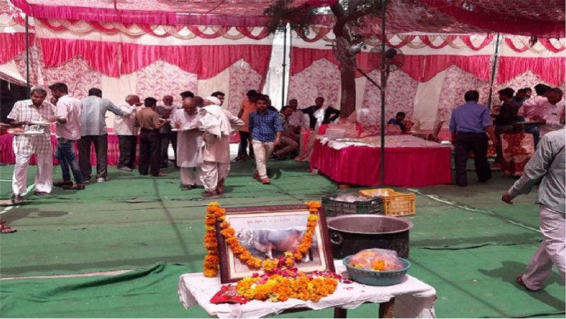 कृष्णपाल ने बताया कि राधा उनके लिए गाय नहीं बल्कि सदस्य थी। इससे पहले भी यह परिवार बेजुबान जानवरों के लिए अपना यही प्यार दिखा चुके है। गाय के चित्र पर पुष्प अर्पित किए और शारीरिक दूरी का ध्यान रखते हुए ग्रामीणों को ब्रह्मभोज कराया। ग्रामीणों को मास्क बांटे गए।