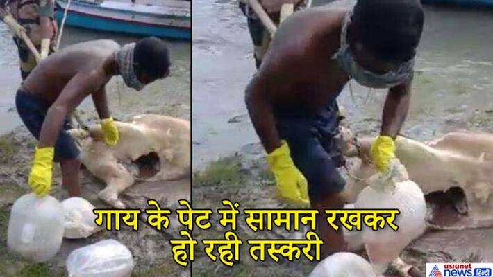 bsf caught trafficking by hiding fish seeds in dead animals bodies in kolkata KPP bsf caught trafficking by hiding fish seeds in dead animals bodies in kolkata KPP