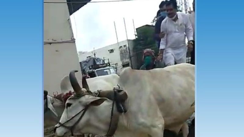 बता दें कि पालदा औद्योगिक संगठन 9 साल से सड़क बनाने की मांग कर रहा है। लेकिन अभी तक यहां की सड़क नहीं बन पाई। पिछले दो तीन हो रही बारिश में यह सड़क बुरी तरह से बेकार हो चुकी है। जगह-जगह गड्डे और पानी भरा हुआ है।
