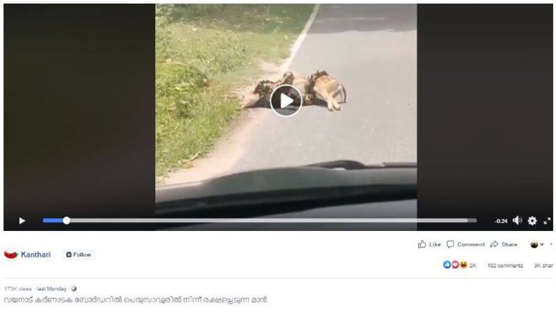 Reality of place in viral video of human intervenes and tries to save Deer about to be eaten by Snake