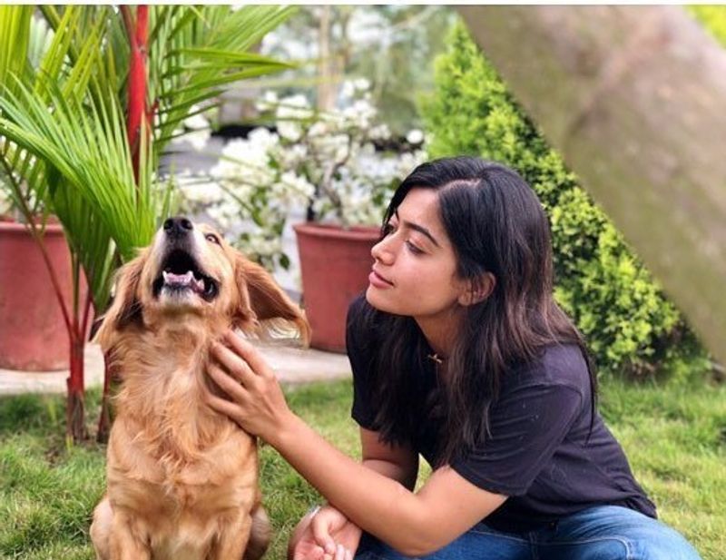 Movie Celebs and their pets