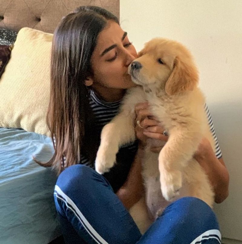 Movie Celebs and their pets