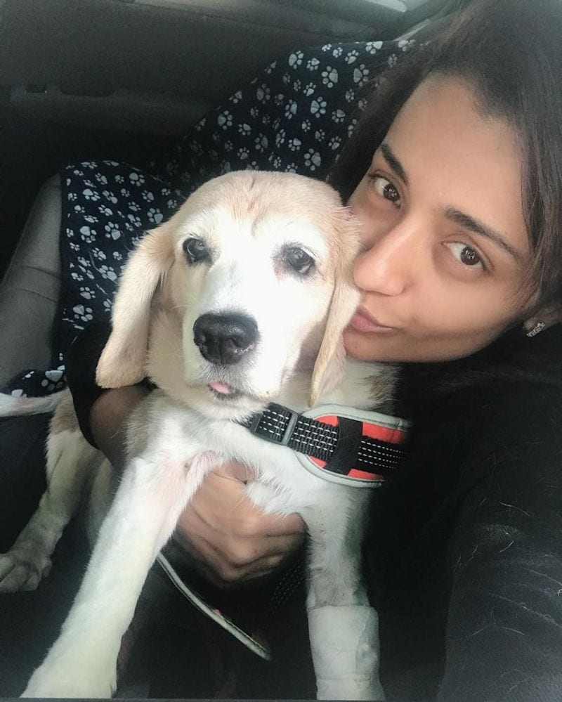 Movie Celebs and their pets